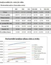 Finanční analýza společnosti